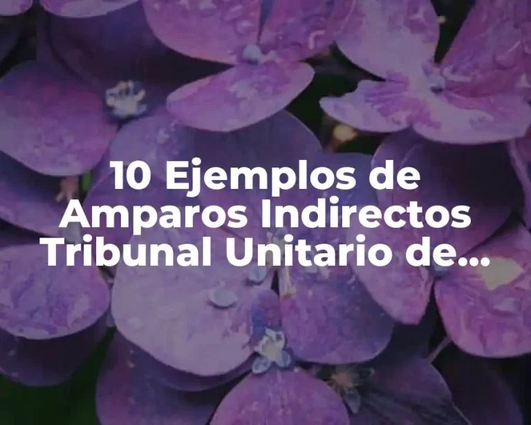 10 Ejemplos de Amparos Indirectos Tribunal Unitario de Circuitos