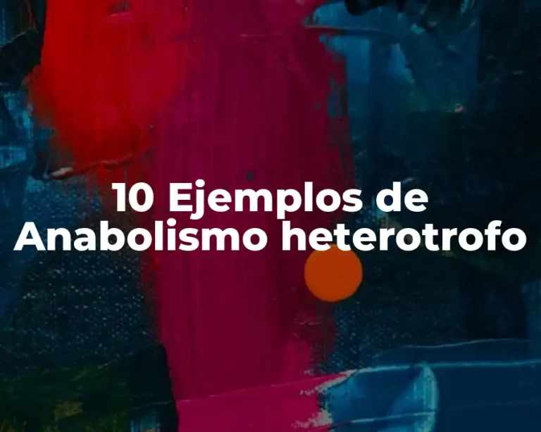 10 Ejemplos de Anabolismo heterotrofo