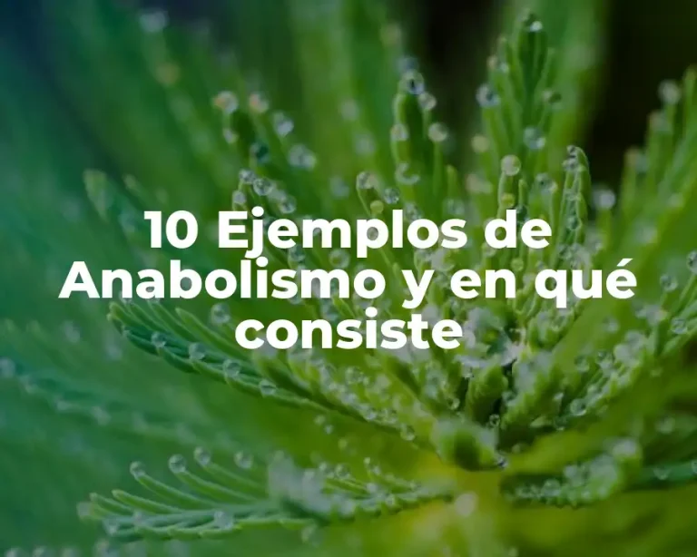 10 Ejemplos de Anabolismo y en qué consiste