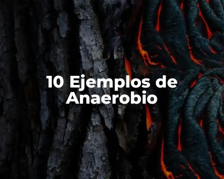 10 Ejemplos de Anaerobio
