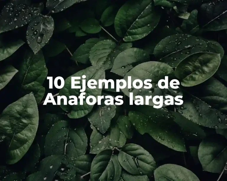 10 Ejemplos de Anaforas largas