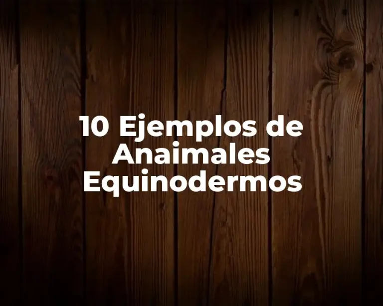 10 Ejemplos de Anaimales Equinodermos