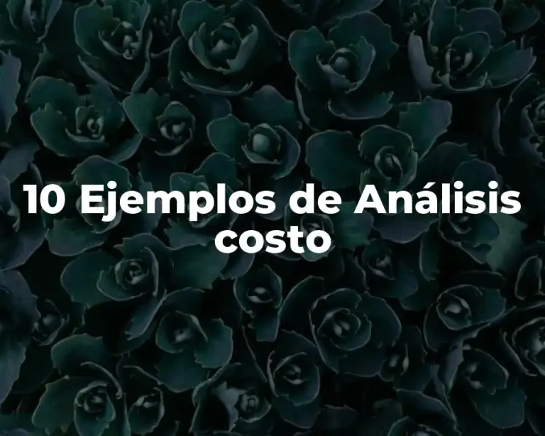 10 Ejemplos de Análisis costo