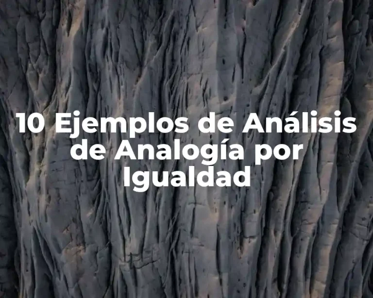 10 Ejemplos de Análisis de Analogía por Igualdad