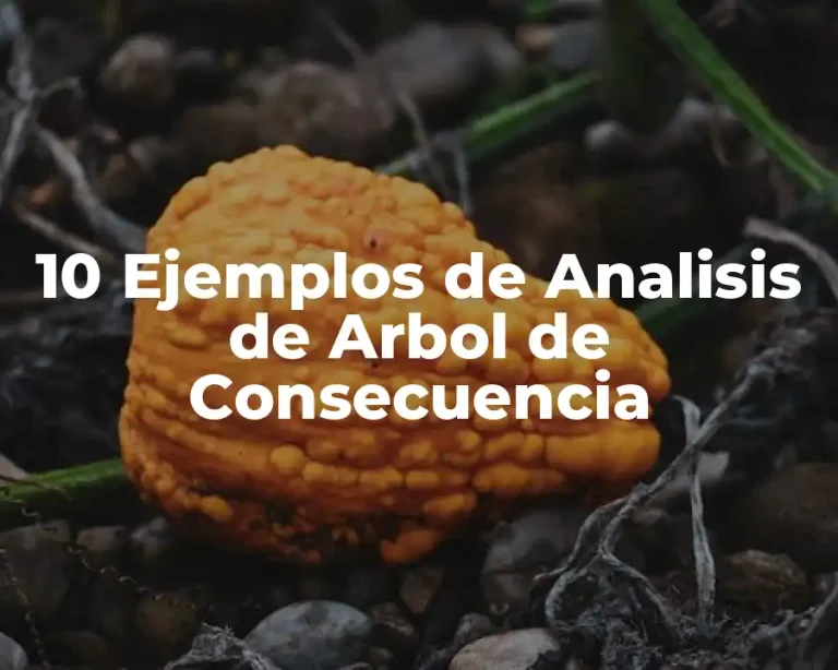 10 Ejemplos de Analisis de Arbol de Consecuencia