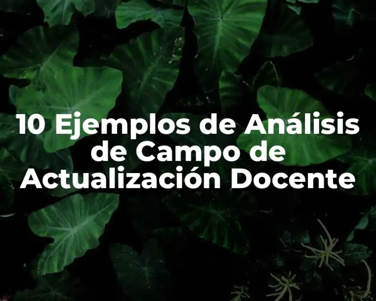 10 Ejemplos de Análisis de Campo de Actualización Docente