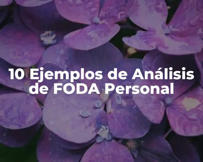 10 Ejemplos de Análisis de FODA Personal