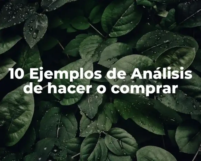 10 Ejemplos de Análisis de hacer o comprar