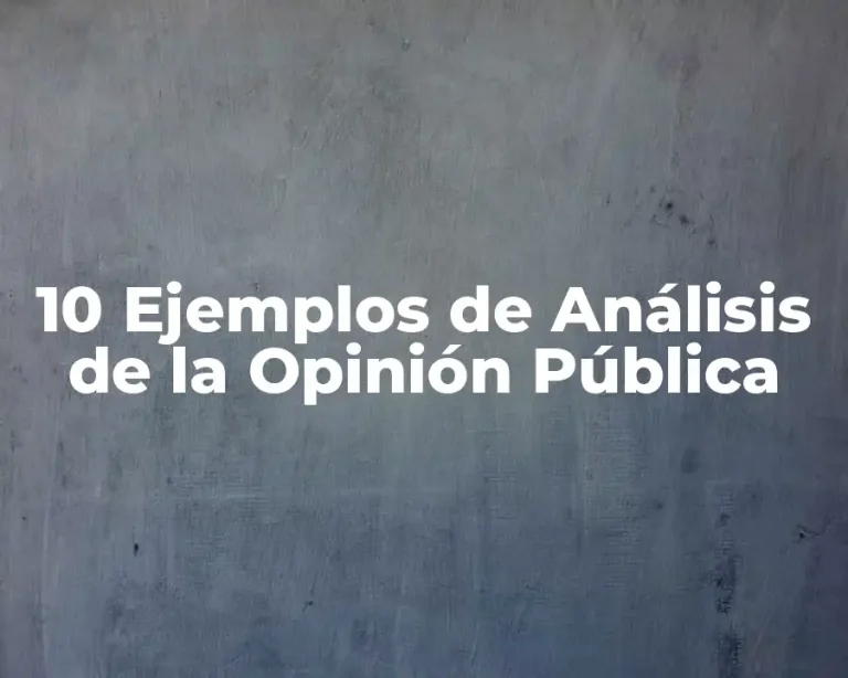 10 Ejemplos de Análisis de la Opinión Pública