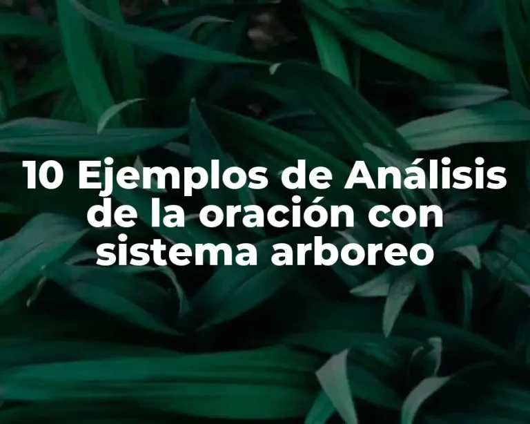 10 Ejemplos de Análisis de la oración con sistema arboreo