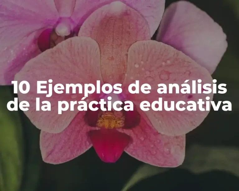 10 Ejemplos de análisis de la práctica educativa