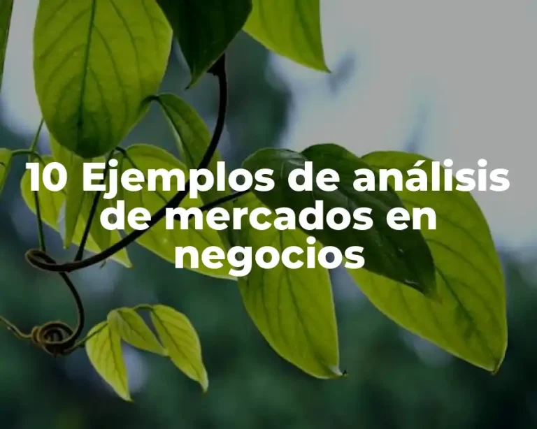 10 Ejemplos de análisis de mercados en negocios