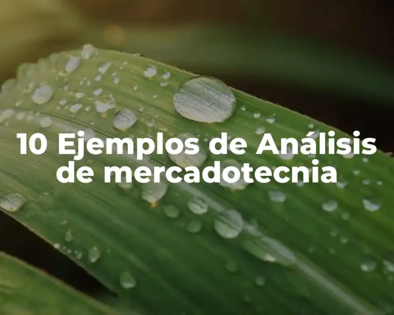 10 Ejemplos de Análisis de mercadotecnia