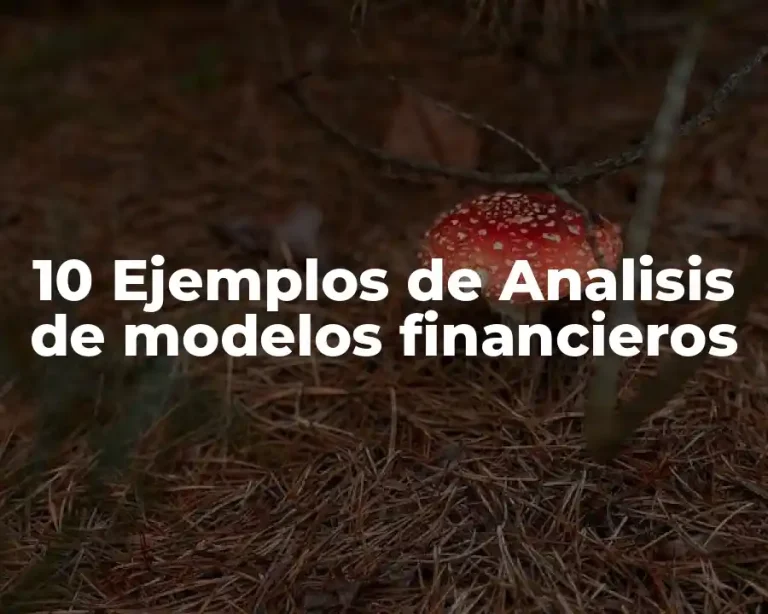 10 Ejemplos de Analisis de modelos financieros