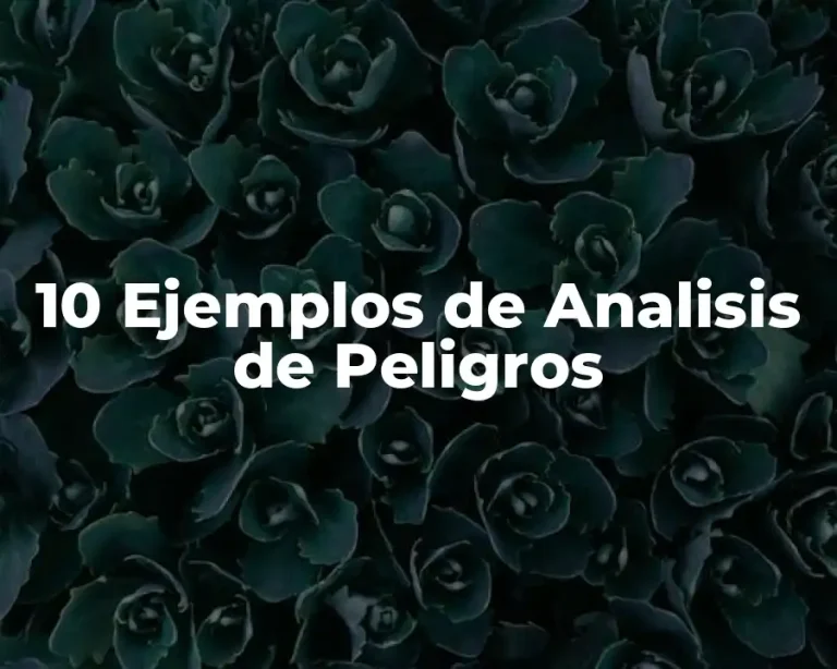 10 Ejemplos de Analisis de Peligros