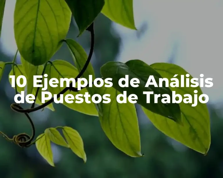 10 Ejemplos de Análisis de Puestos de Trabajo