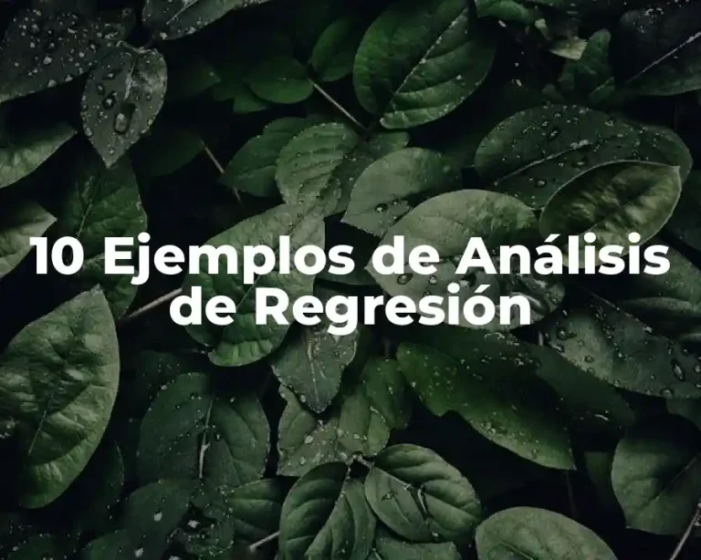 10 Ejemplos de Análisis de Regresión