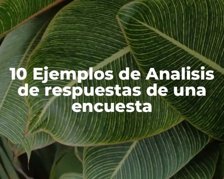 10 Ejemplos de Analisis de respuestas de una encuesta