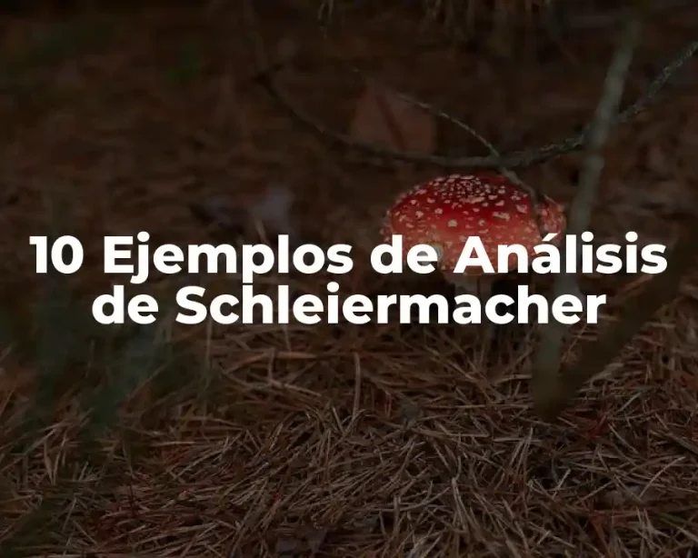 10 Ejemplos de Análisis de Schleiermacher