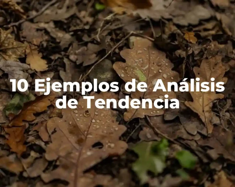 10 Ejemplos de Análisis de Tendencia