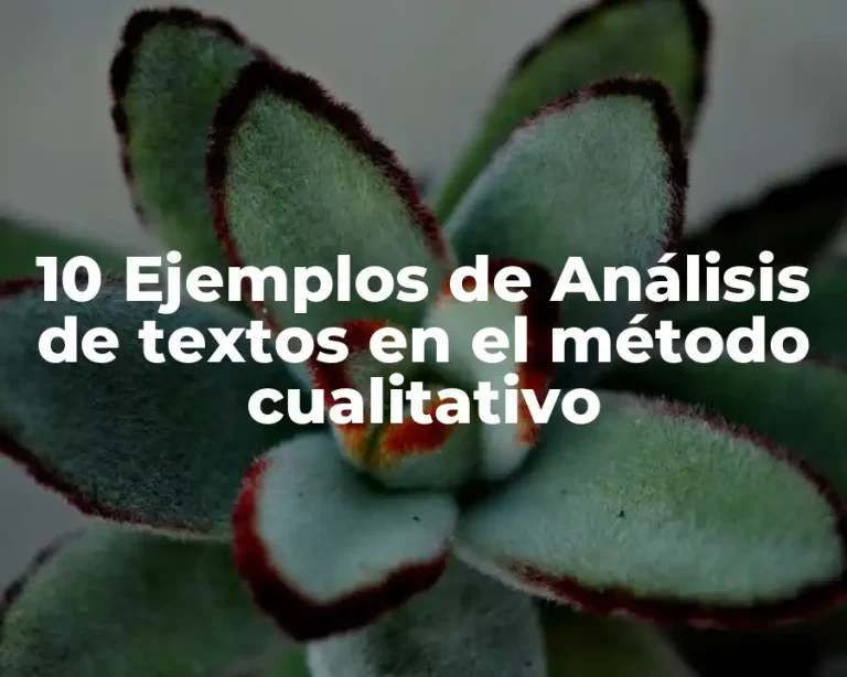 10 Ejemplos de Análisis de textos en el método cualitativo