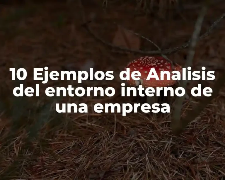 10 Ejemplos de Analisis del entorno interno de una empresa