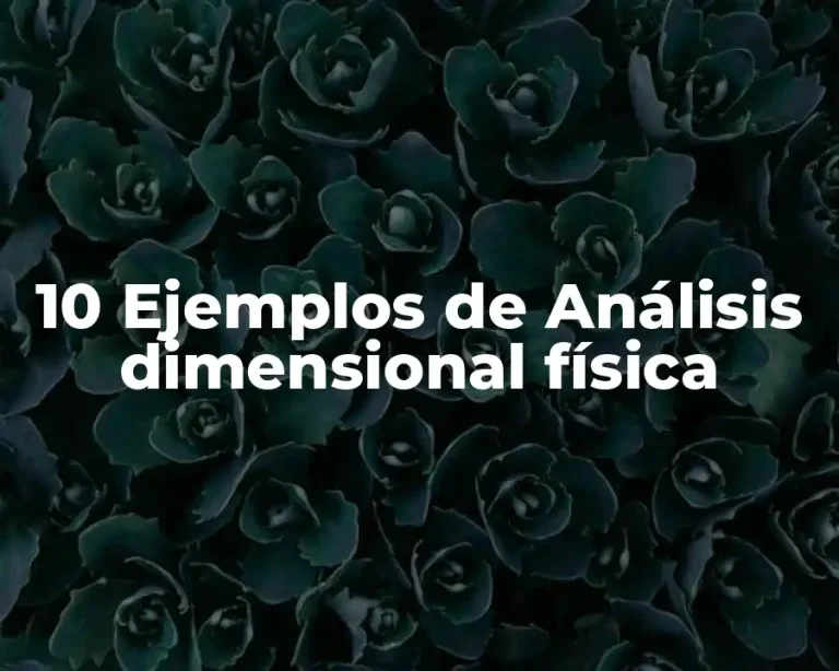 10 Ejemplos de Análisis dimensional física