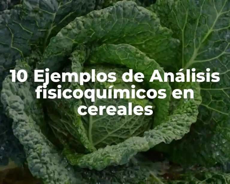 10 Ejemplos de Análisis fisicoquímicos en cereales