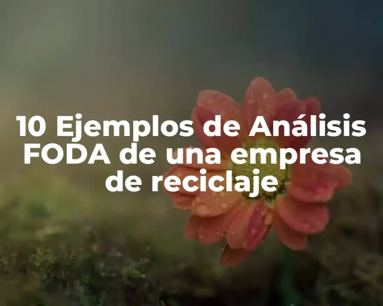 10 Ejemplos de Análisis FODA de una empresa de reciclaje