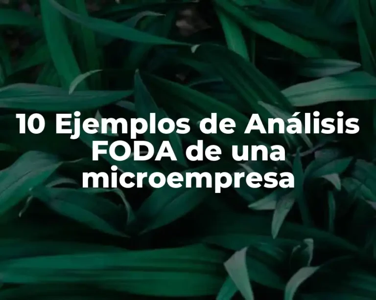 10 Ejemplos de Análisis FODA de una microempresa