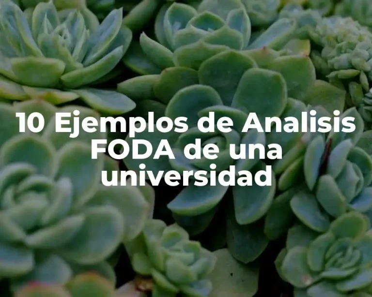 10 Ejemplos de Analisis FODA de una universidad