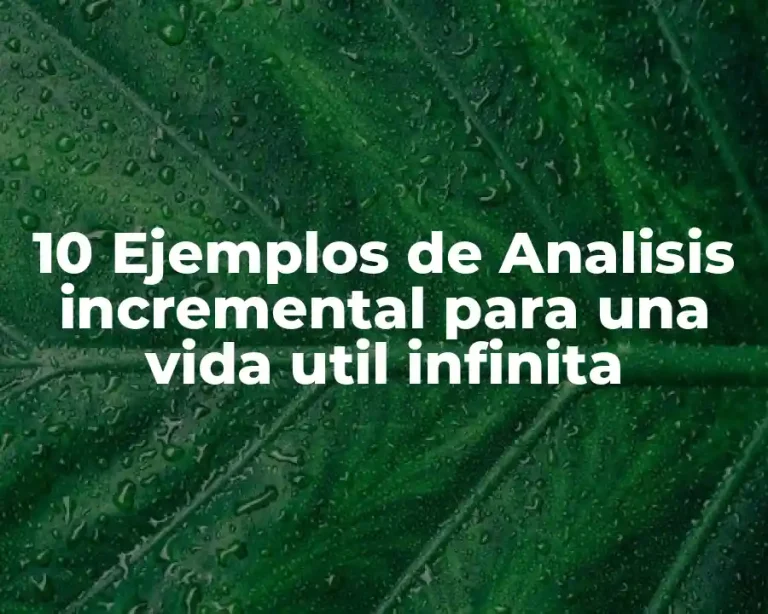 10 Ejemplos de Analisis incremental para una vida util infinita