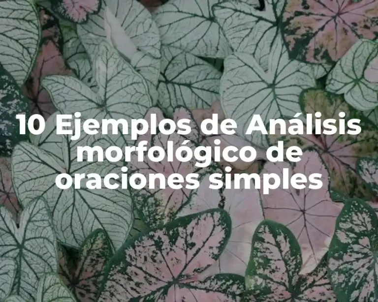 10 Ejemplos de Análisis morfológico de oraciones simples