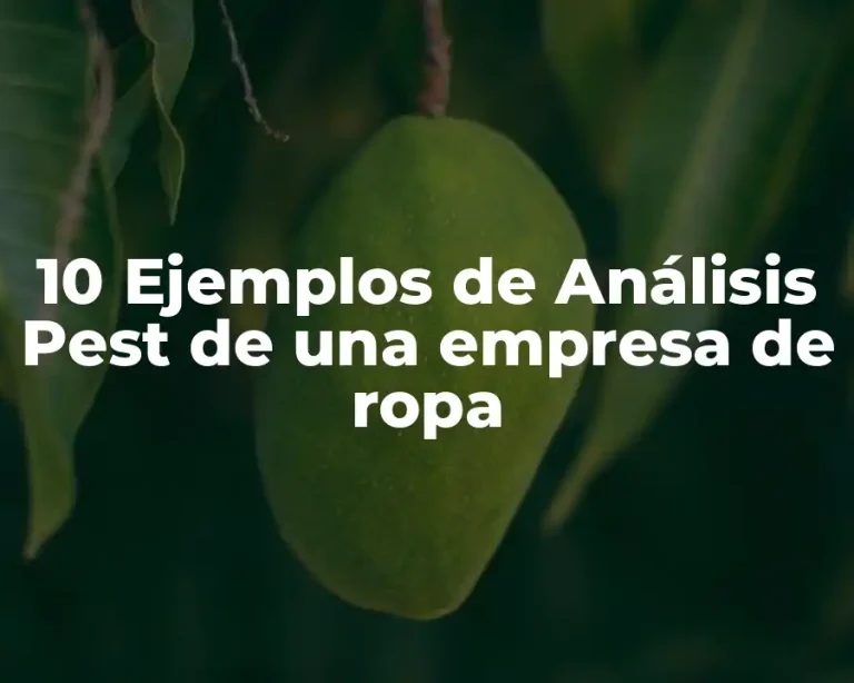 10 Ejemplos de Análisis Pest de una empresa de ropa