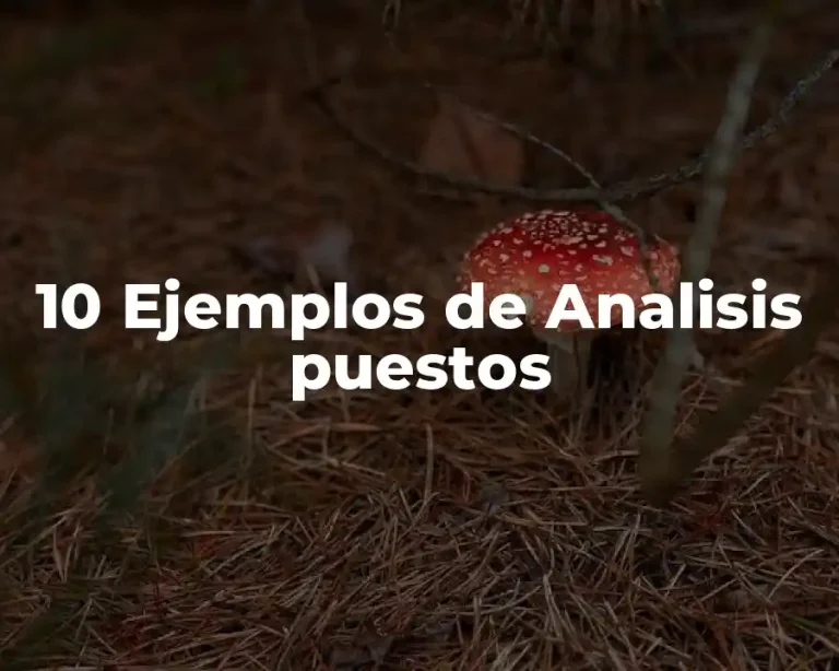 10 Ejemplos de Analisis puestos