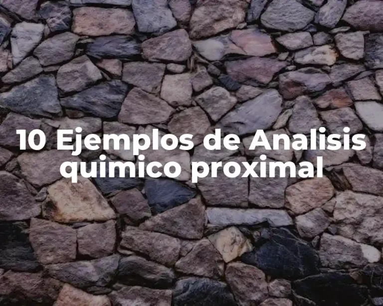 10 Ejemplos de Analisis quimico proximal