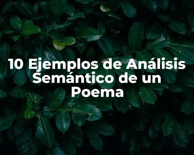 10 Ejemplos de Análisis Semántico de un Poema
