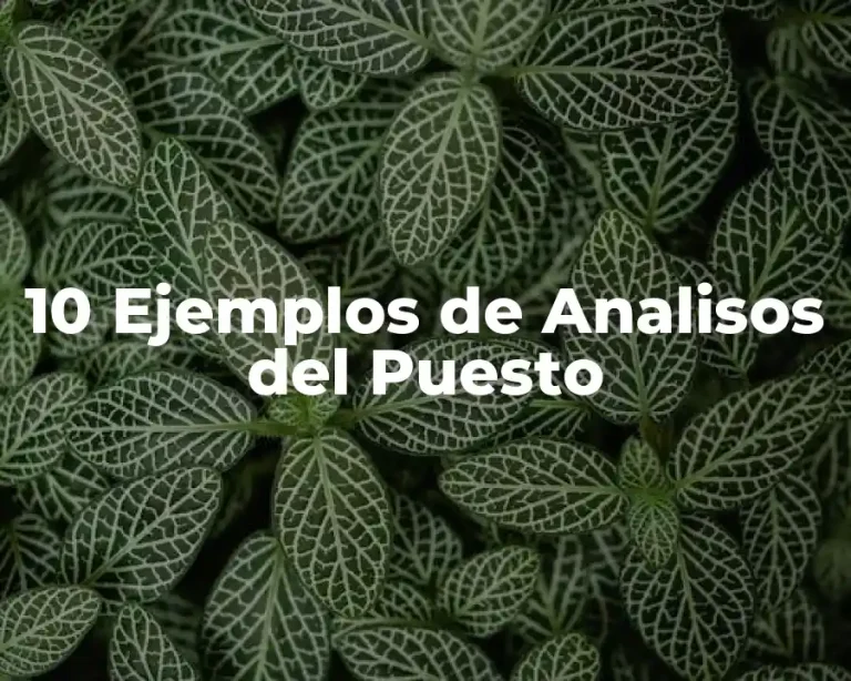10 Ejemplos de Analisos del Puesto