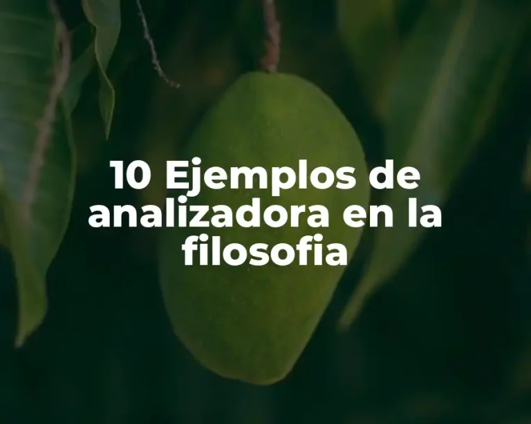 10 Ejemplos de analizadora en la filosofia