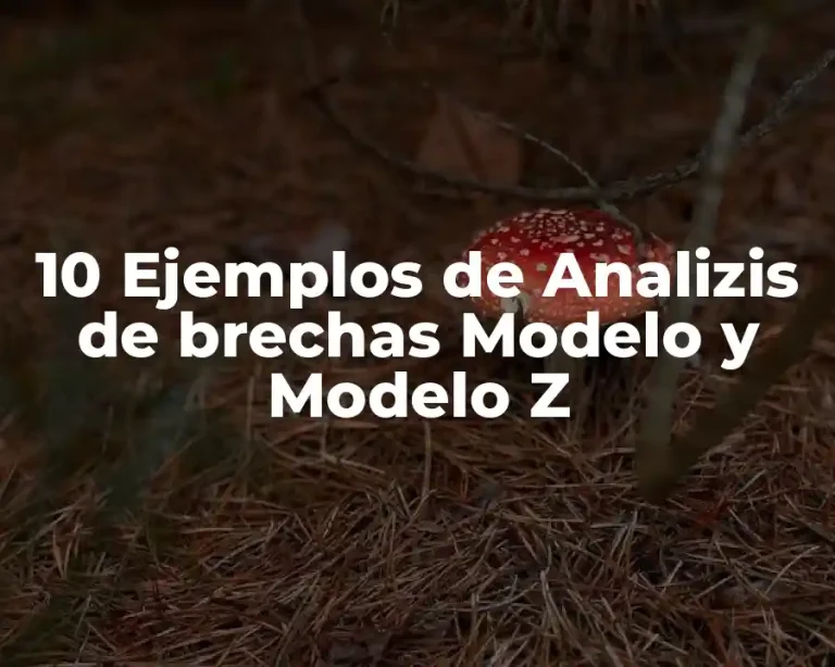 10 Ejemplos de Analizis de brechas Modelo y Modelo Z