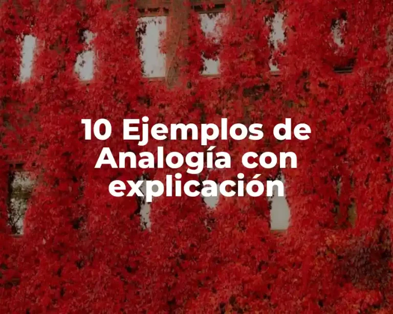 10 Ejemplos de Analogía con explicación