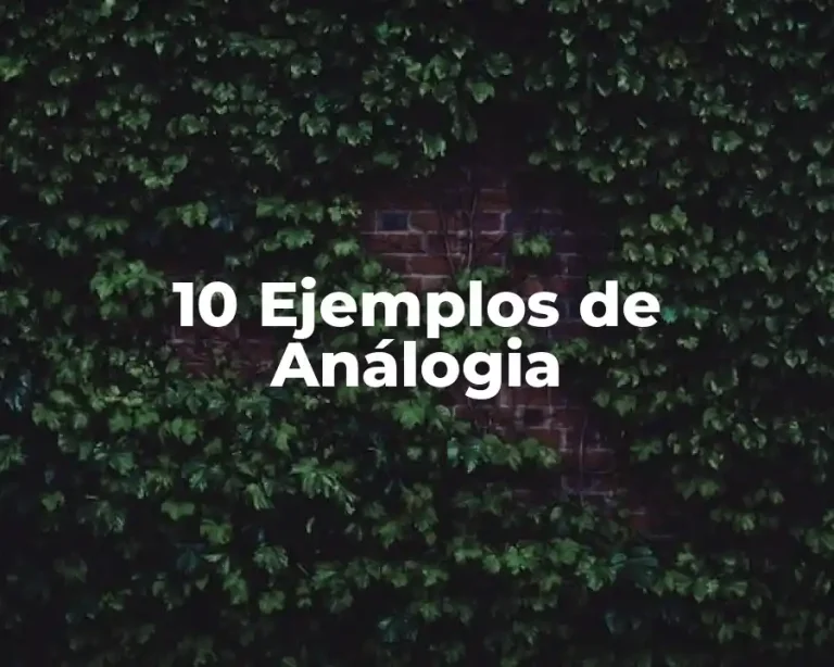 10 Ejemplos de Análogia