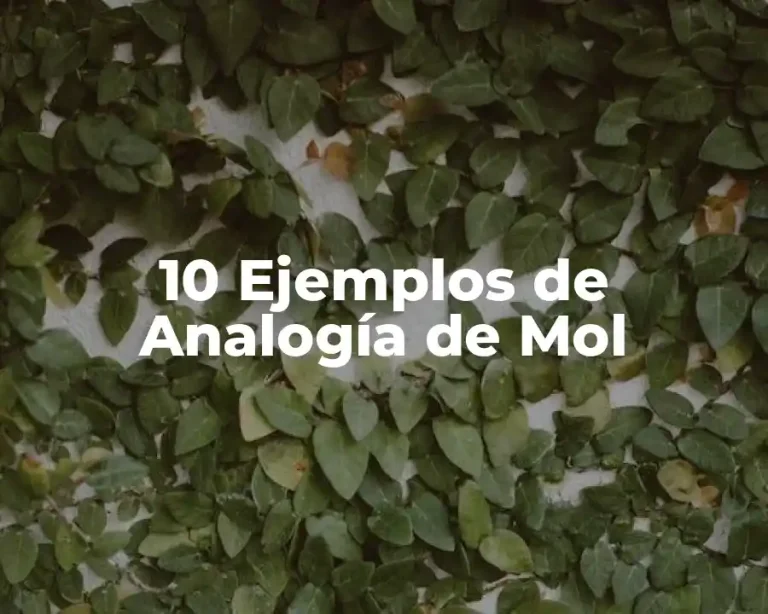 10 Ejemplos de Analogía de Mol