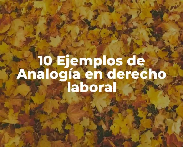 10 Ejemplos de Analogía en derecho laboral