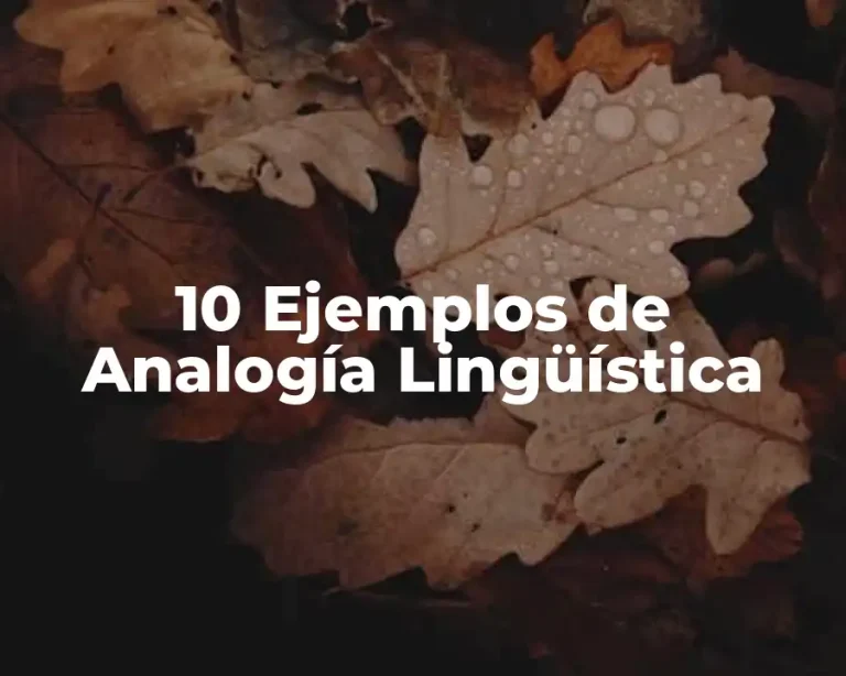 10 Ejemplos de Analogía Lingüística