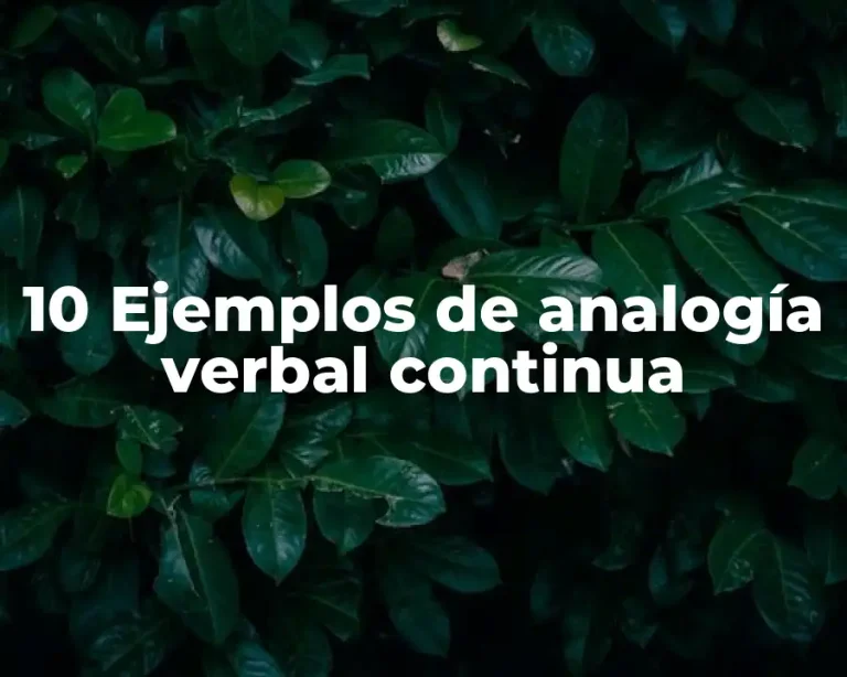 10 Ejemplos de analogía verbal continua