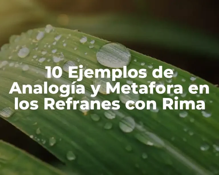10 Ejemplos de Analogía y Metafora en los Refranes con Rima