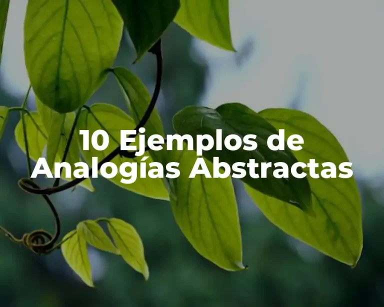 10 Ejemplos de Analogías Abstractas