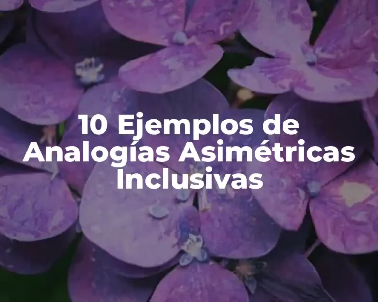 10 Ejemplos de Analogías Asimétricas Inclusivas