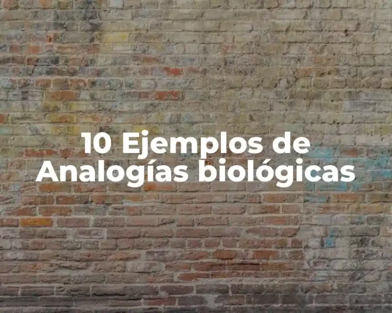 10 Ejemplos de Analogías biológicas